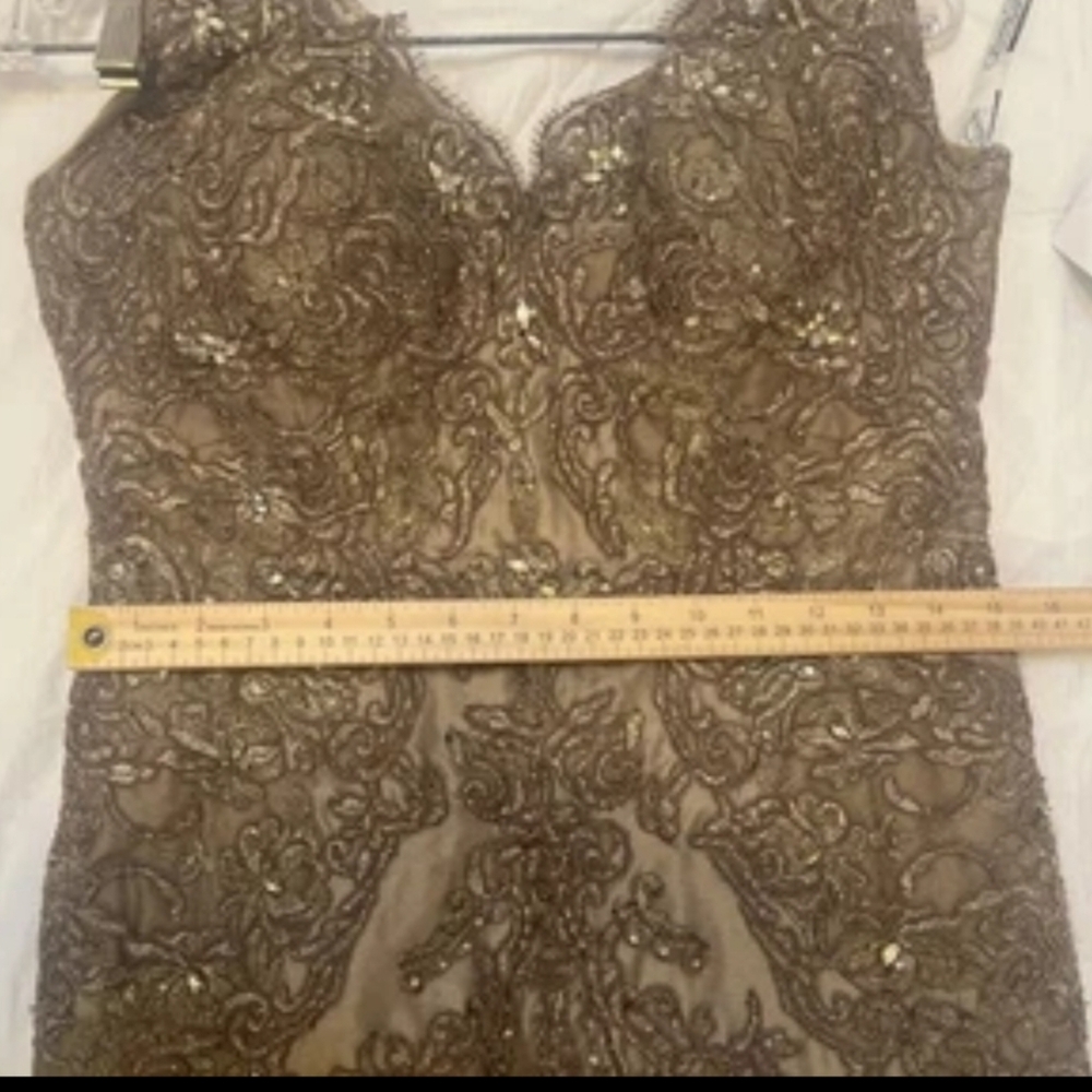 Elegant Lace Evening Gown, By Evonne D for Mon Cherie - Picture 10 of 13
